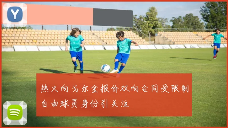 热火向戈尔金报价双向合同受限制自由球员身份引关注