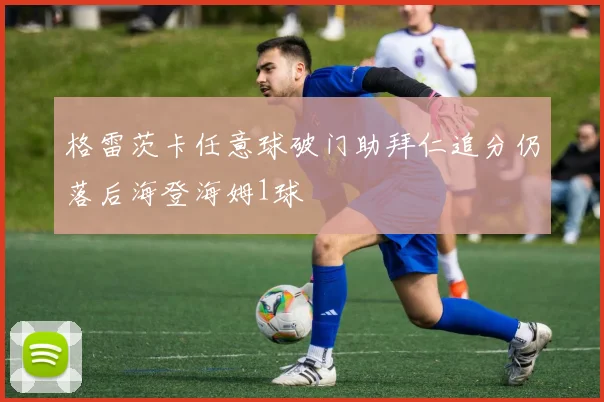 格雷茨卡任意球破门助拜仁追分仍落后海登海姆1球